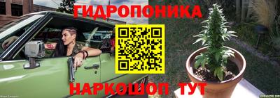 СК Моздок