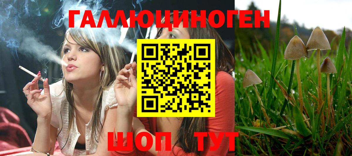 Фурманов  Галлюциногенные грибы GOLDEN TEACHER  Вход с VPN  Псилоцибиновые грибы мухоморы 