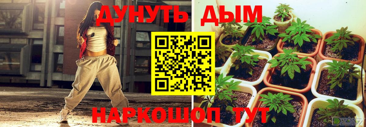 Шишки марихуана индика Фурманов